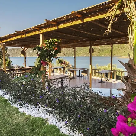 Unique Boutique Hotel For Chill/Out Getaway *